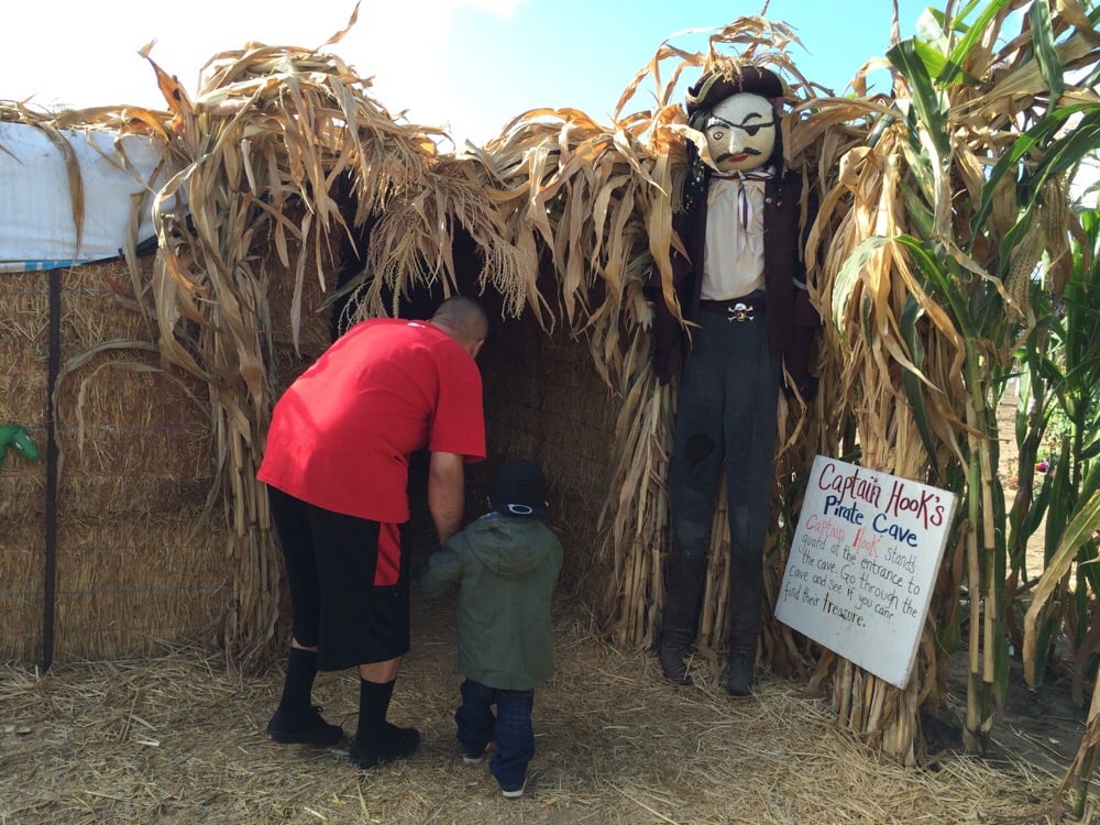 Phillips Farms Pumpkin Patch 17 Photos Pumpkin Patches 4580 W Hwy