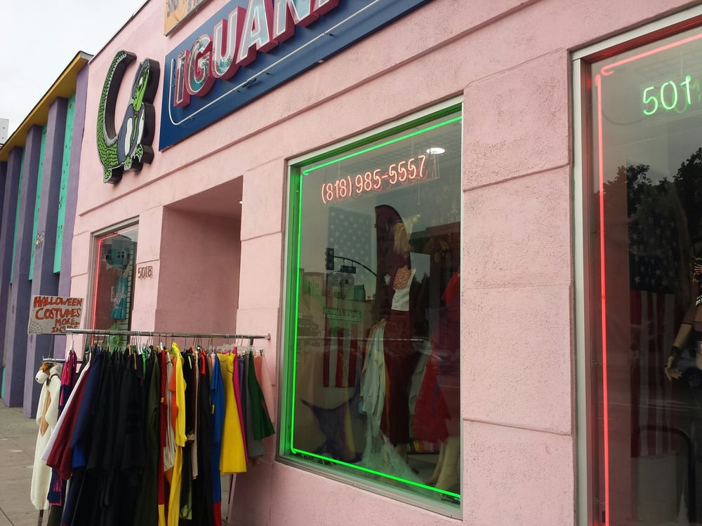 iguana thrift store