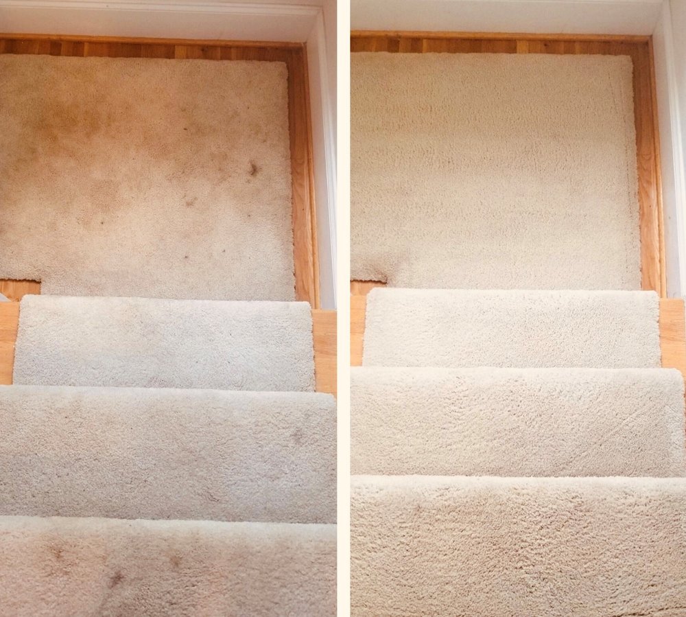 Spotless Clean & Carpet Care