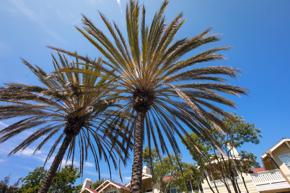 The Presidio Apartments