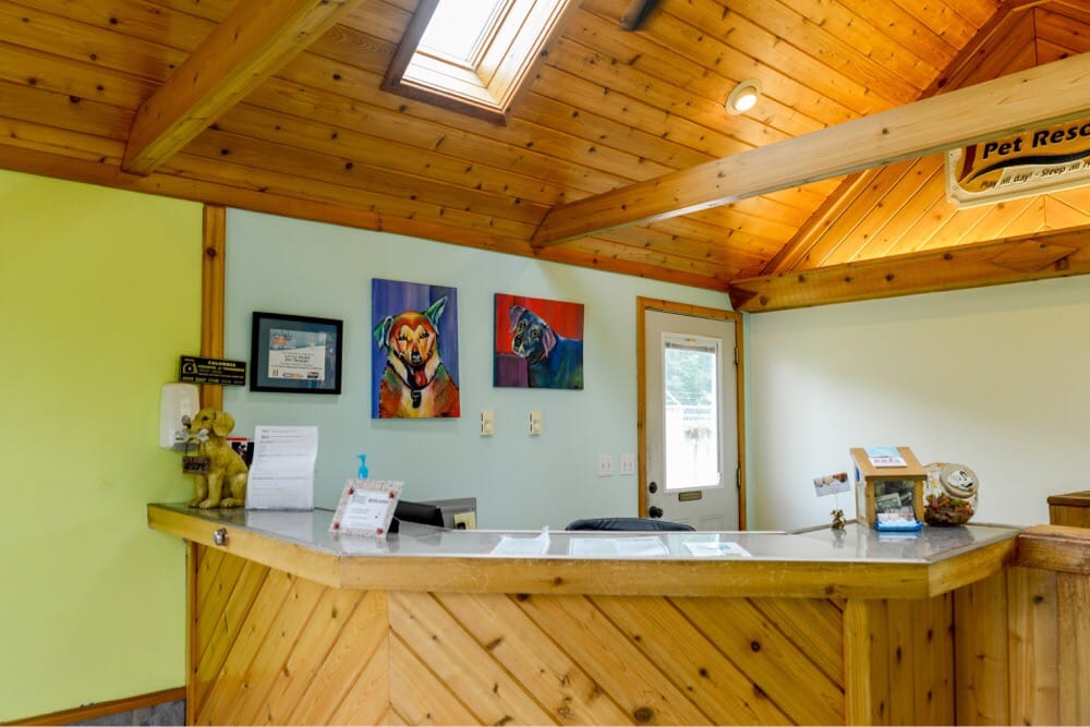 Little River Pet Resort Pet Sitting 26479 Royalton Rd, Columbia