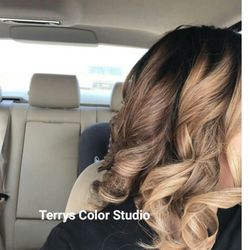 Terry S Color Studio Hair Stylists 4101 S Cooper St