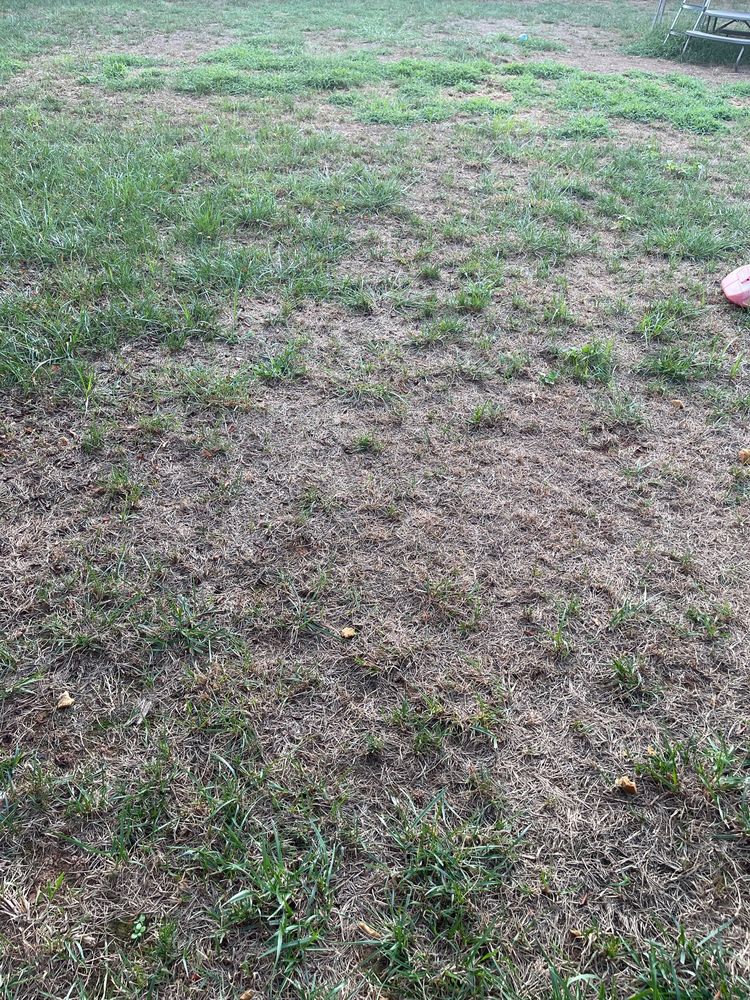 Top Turf Lawn Care and Pest Management