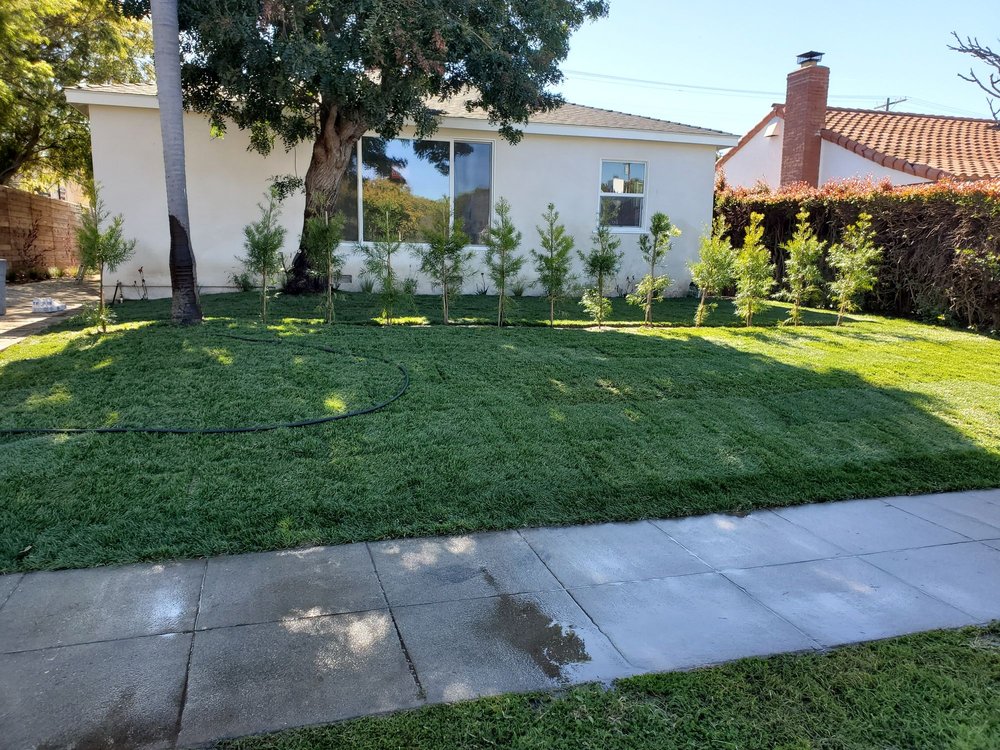 Green Image Landscaping Manhattan Beach Ca Phone Green Image Landscaping Manhattan Beach Ca Phone Number Yelp