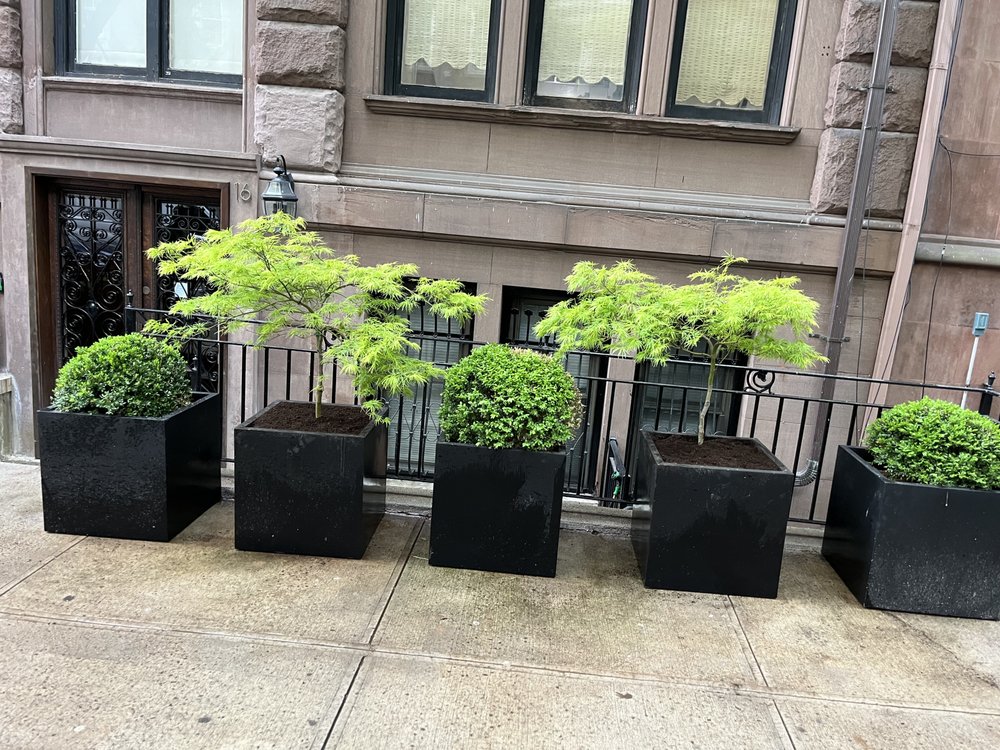 G&C Landscaping