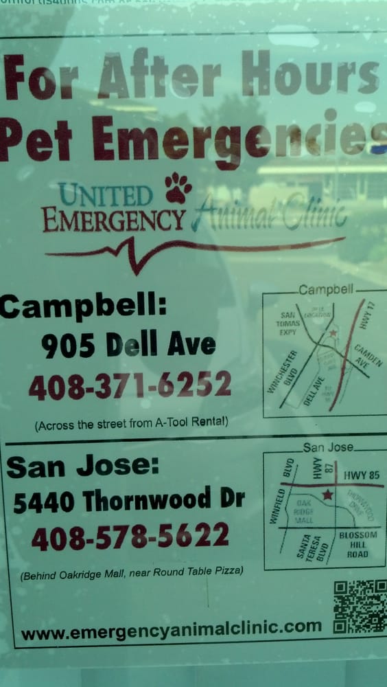 My Baby Elden The Cat Ig Has Been Taken Care Greatly By Dr Peet My Baby Elden The Cat Ig Has Been Taken Care Greatly By Dr Peet And His Staff Yelp