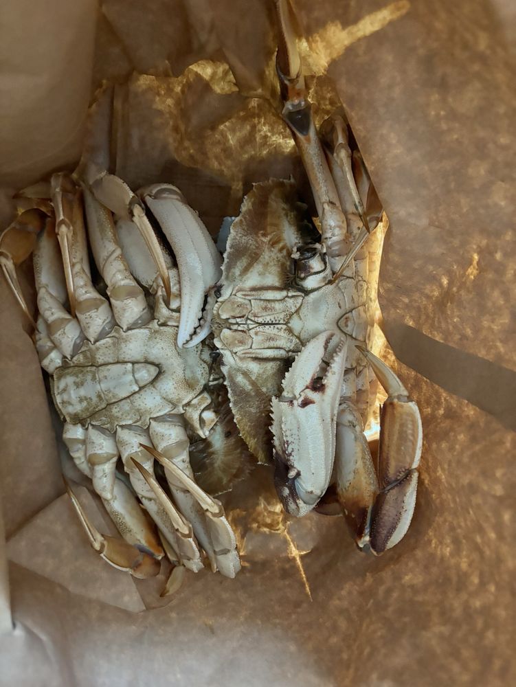 88 Seafood Supermarket