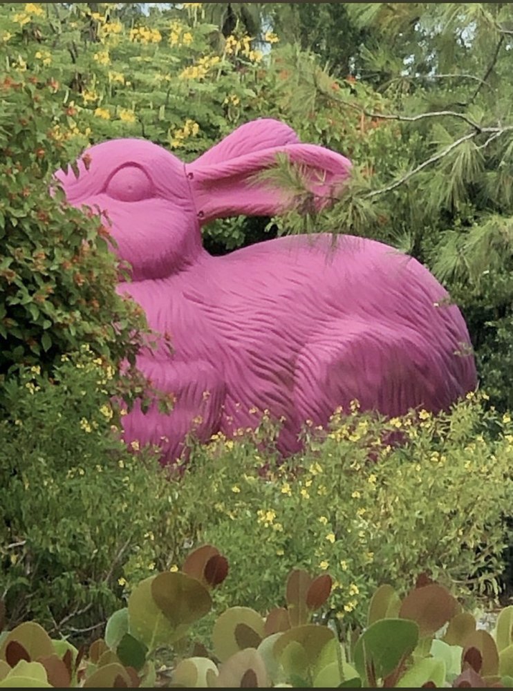 image of business Spodak Dental Group