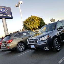 Stevens Creek Subaru 280 Photos 1304 Reviews Car Dealers