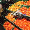Migros