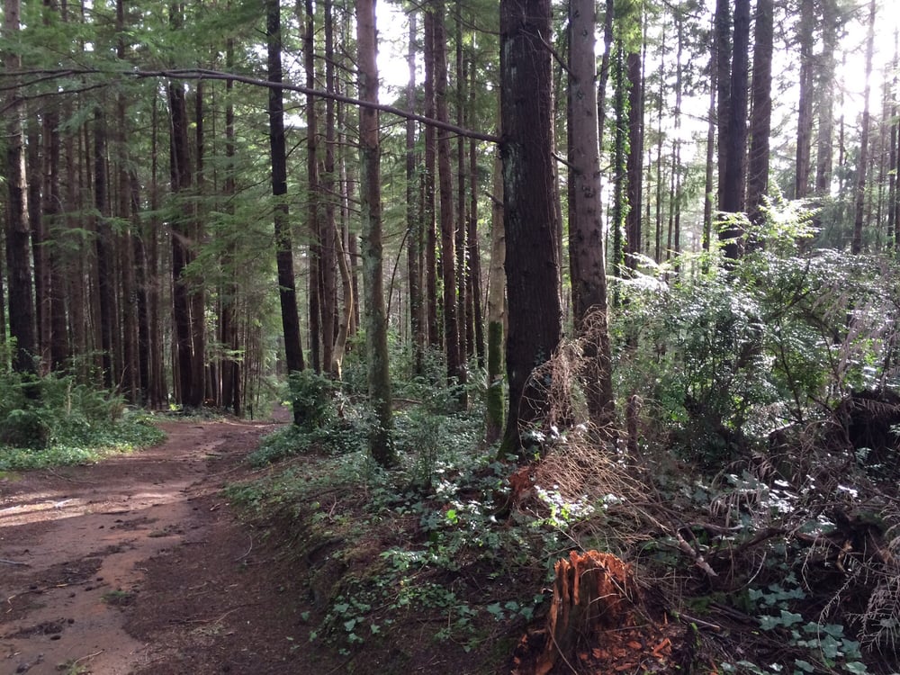 Mingus Park 15 Photos Parks 11001298 West Park Roadway, Coos Bay