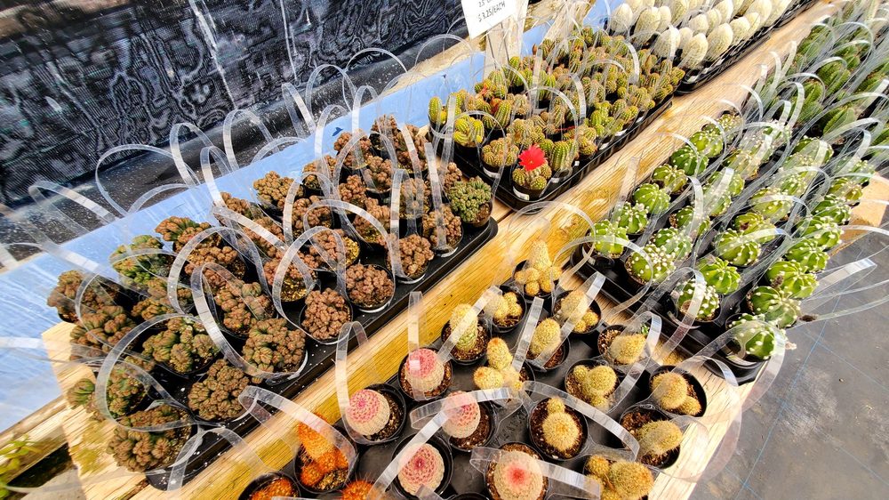 Oasis Water Efficient Gardens
