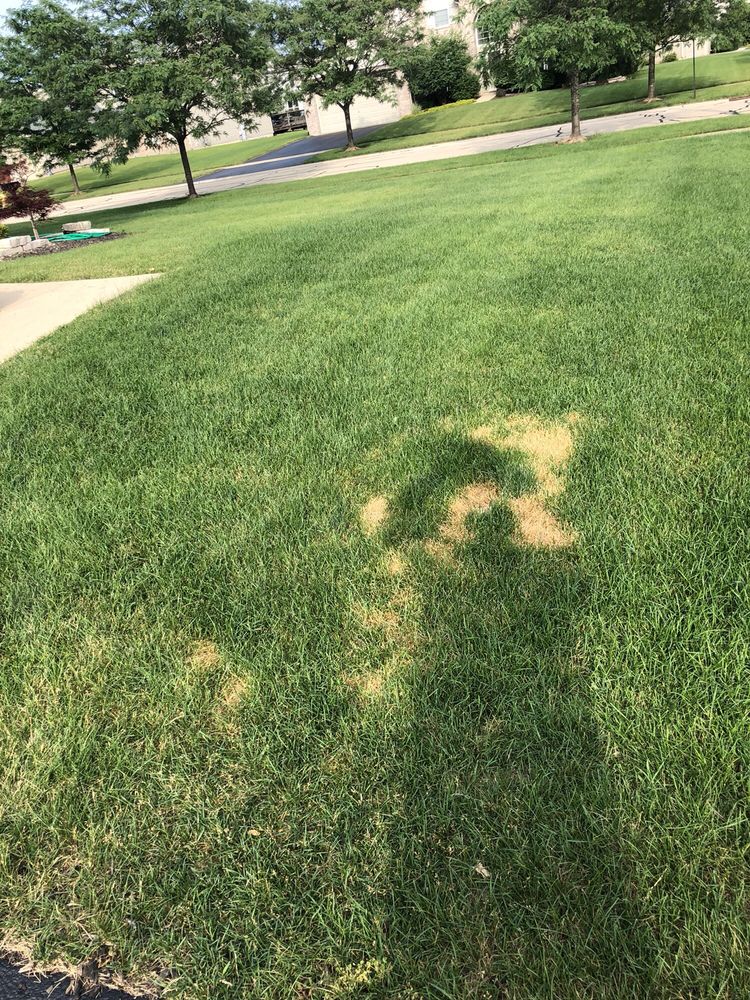 Tee Time Lawn Care 15 Photos &amp; 71 Reviews Pest Control