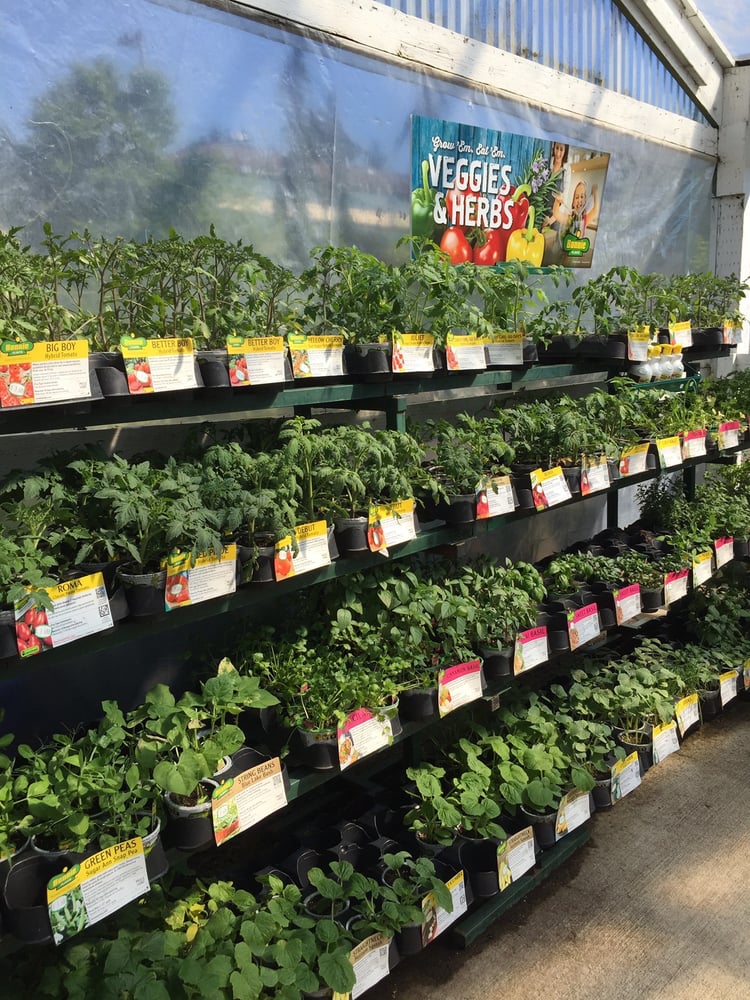 Furney’s Nursery CLOSED 25 Photos & 18 Reviews Nurseries