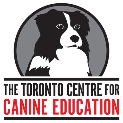 Mindful Behaviors Positive Dog Training In Milton Milton On Mindful Behaviors Positive Dog Training In Milton Milton On