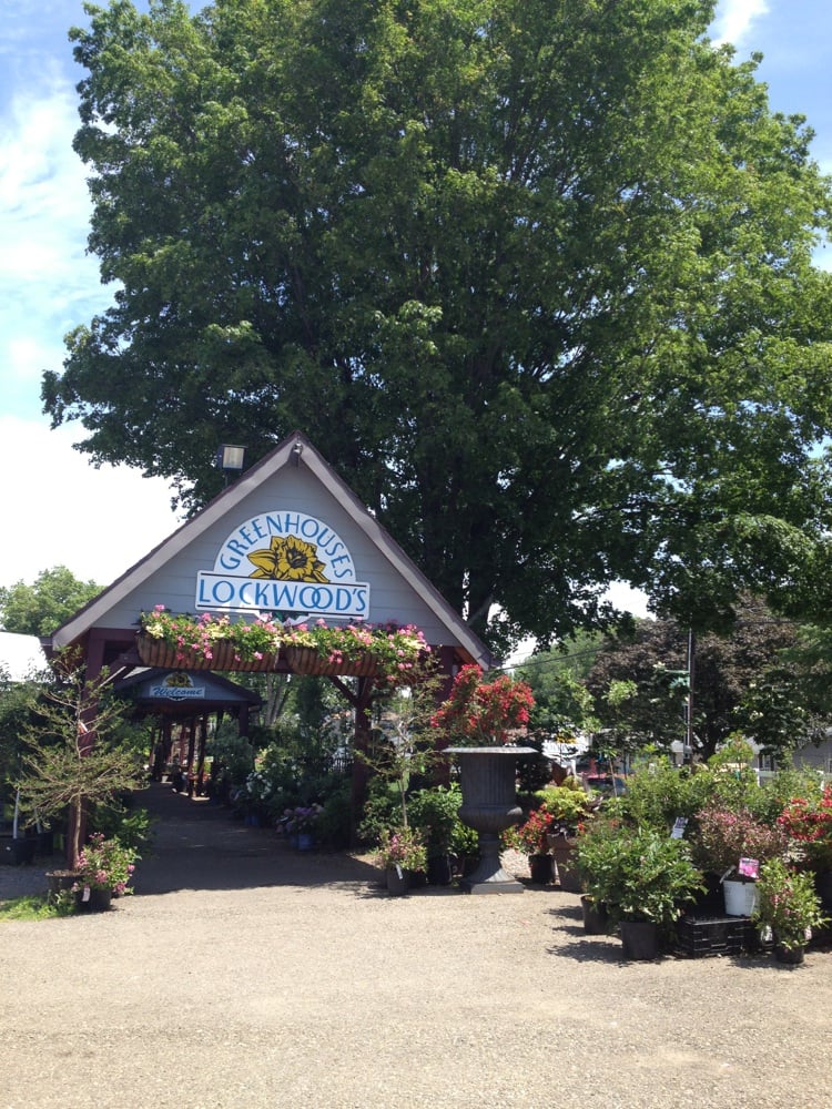 Lockwood’s Greenhouses Nurseries & Gardening 4484 Clark St, Hamburg
