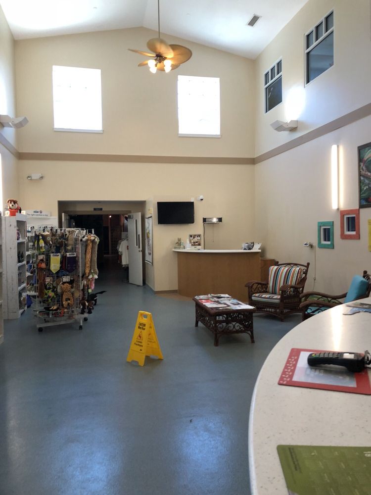 Coastal Veterinary Hospital 20 Photos & 43 Reviews Veterinarians