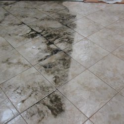 Lcs Janitorial Service Supply Get Quote Carpet Cleaning 6680 Photo Of Lcs Janitorial Service Supply Rome Ny United States Tile