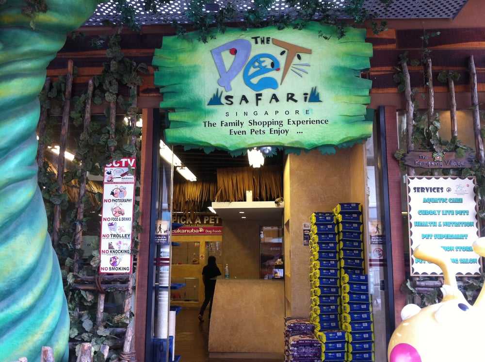 The Pet Safari Pet Training 3 Simei Street 6, East Point Mall