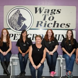 Wags To Riches Wags To Riches