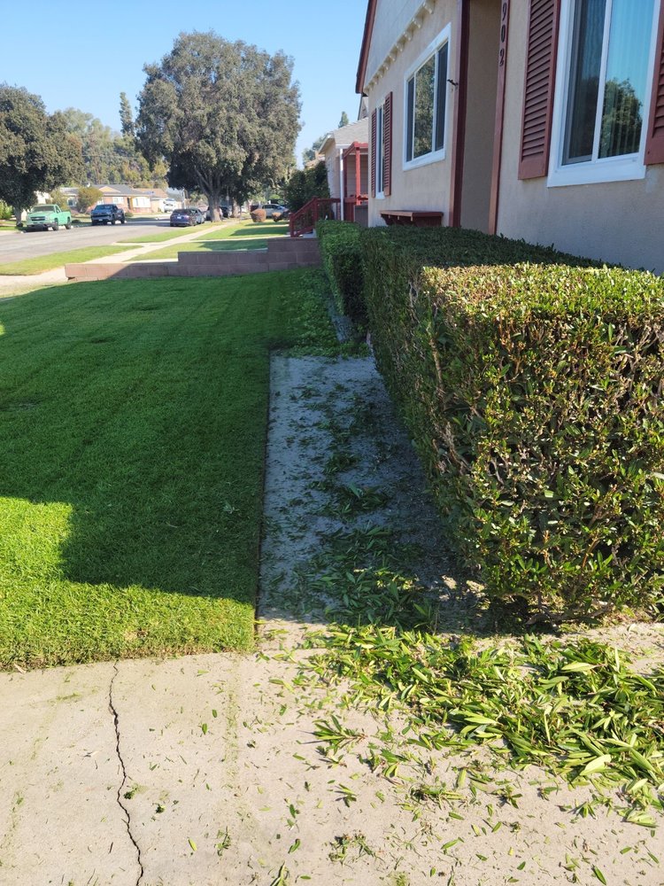 Tony's Gardening Services