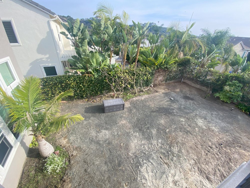 Sinaloa's Demolition
