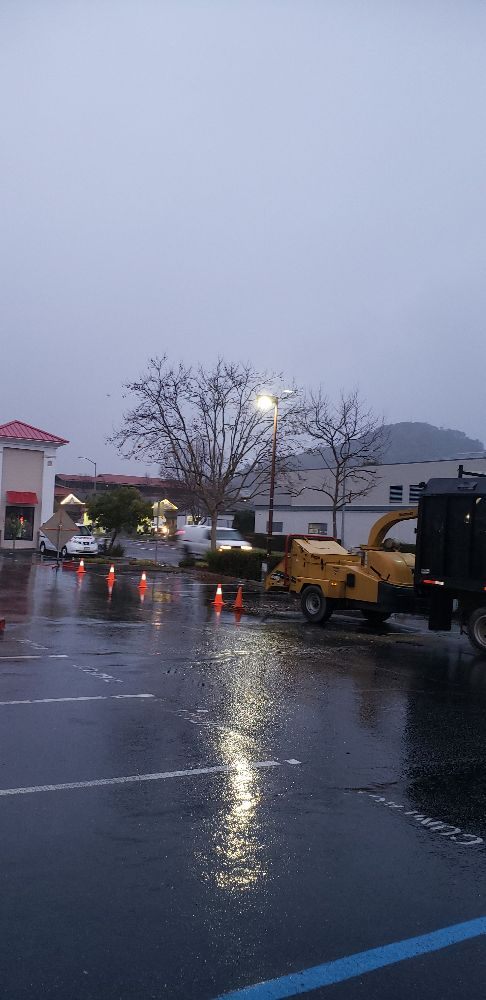 West Valley Tree Care