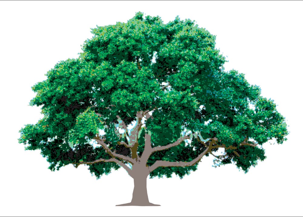 A & J Landscape Supply and Garden Center