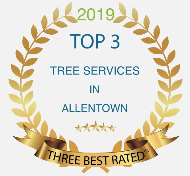 Jake's Tree Service
