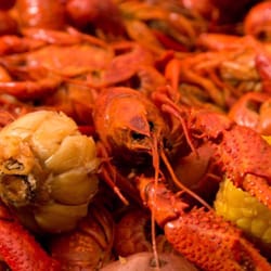 New Orleans Style Seafood Restaurant Market 108 Photos 62 New Orleans Style Seafood Restaurant Market 108 Photos 62 Reviews 1536 N Hwy 190 Covington La Phone Number Last