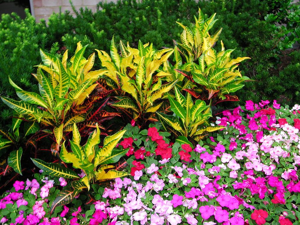 McFall & Berry Landscape Management