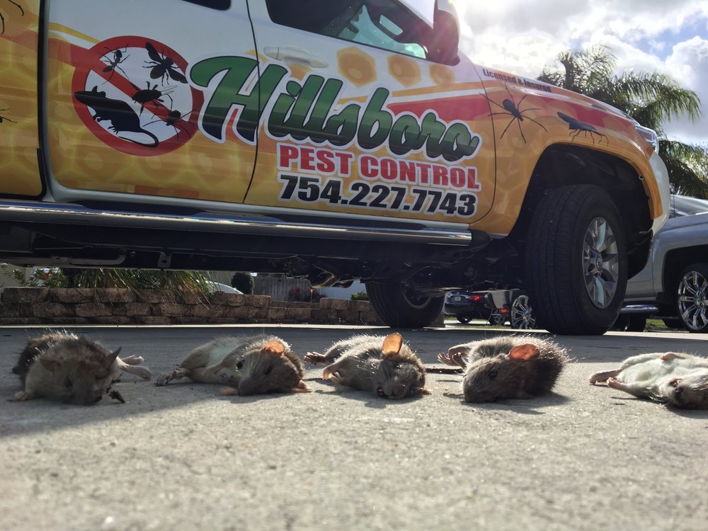 Hillsboro Pest Control