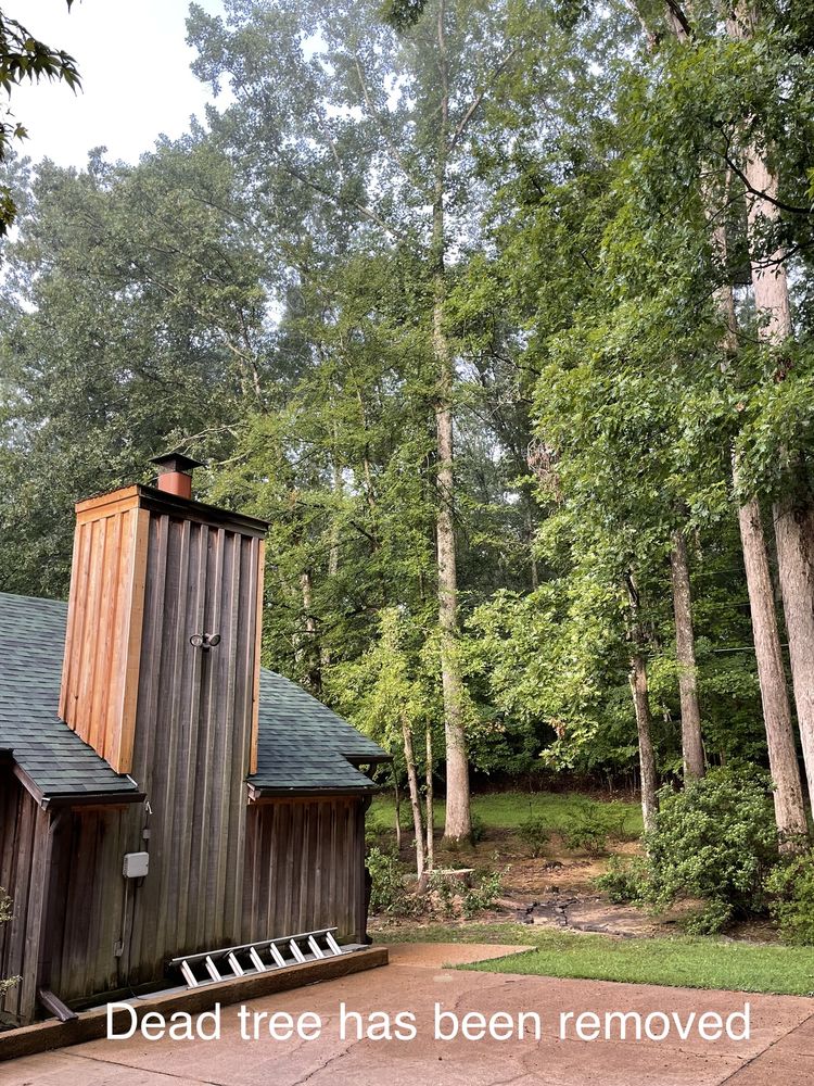 Real Tree pros