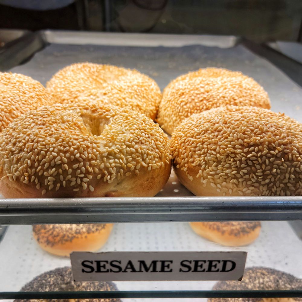 City Bagels