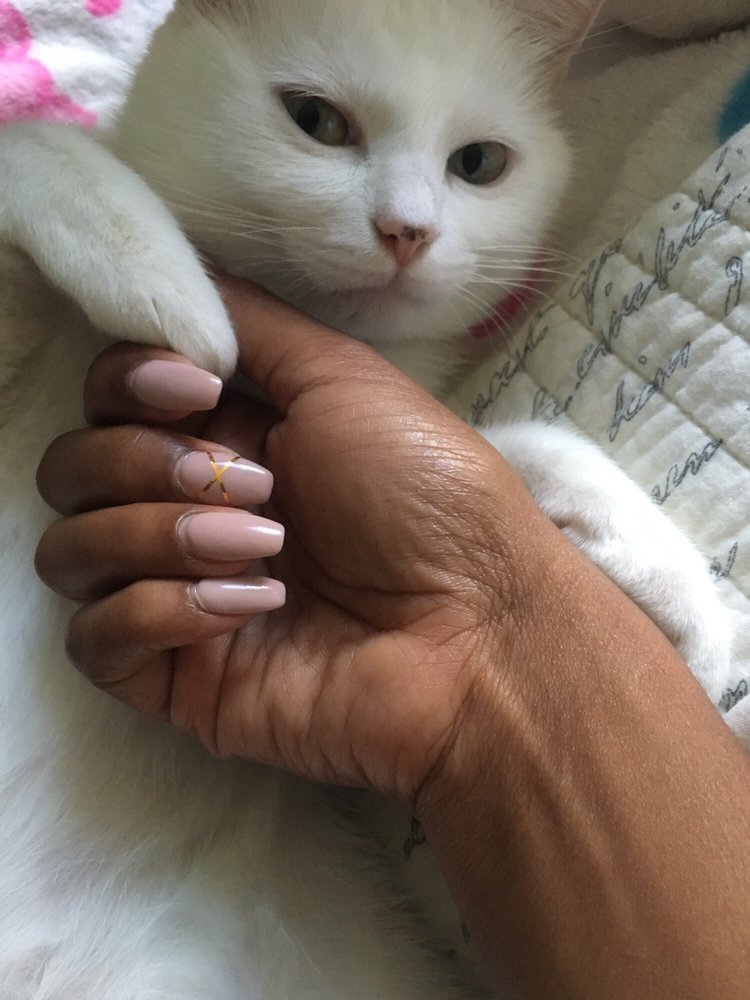 Ballerina shaped acrylic and gel with gold strips - Yelp