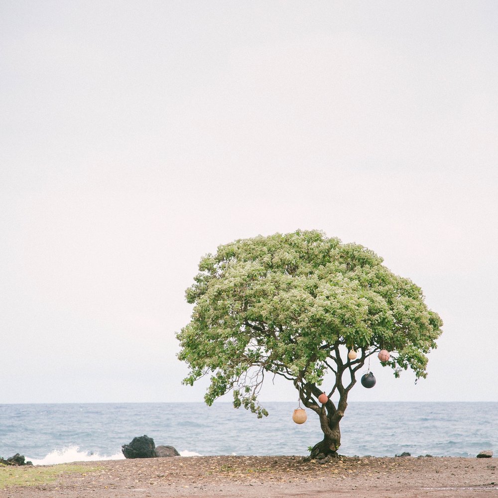 Samantha Polanco Photography