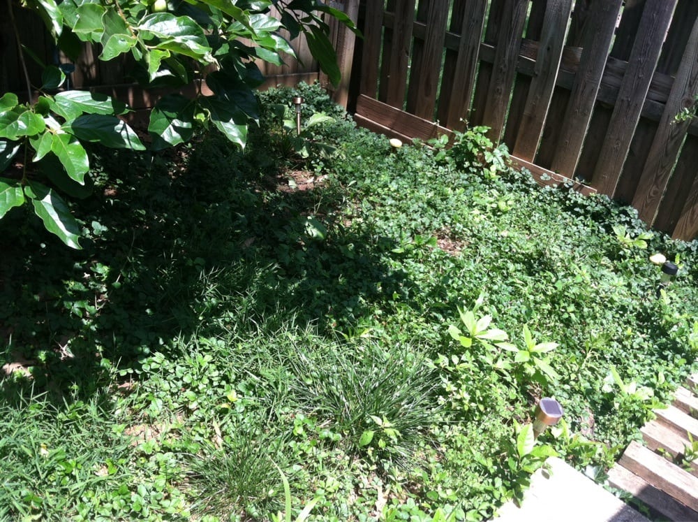 Pro-Mow