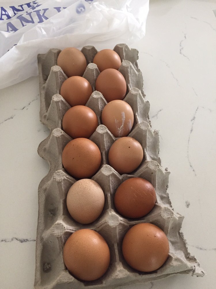 El Tamalazo El Tamalazo