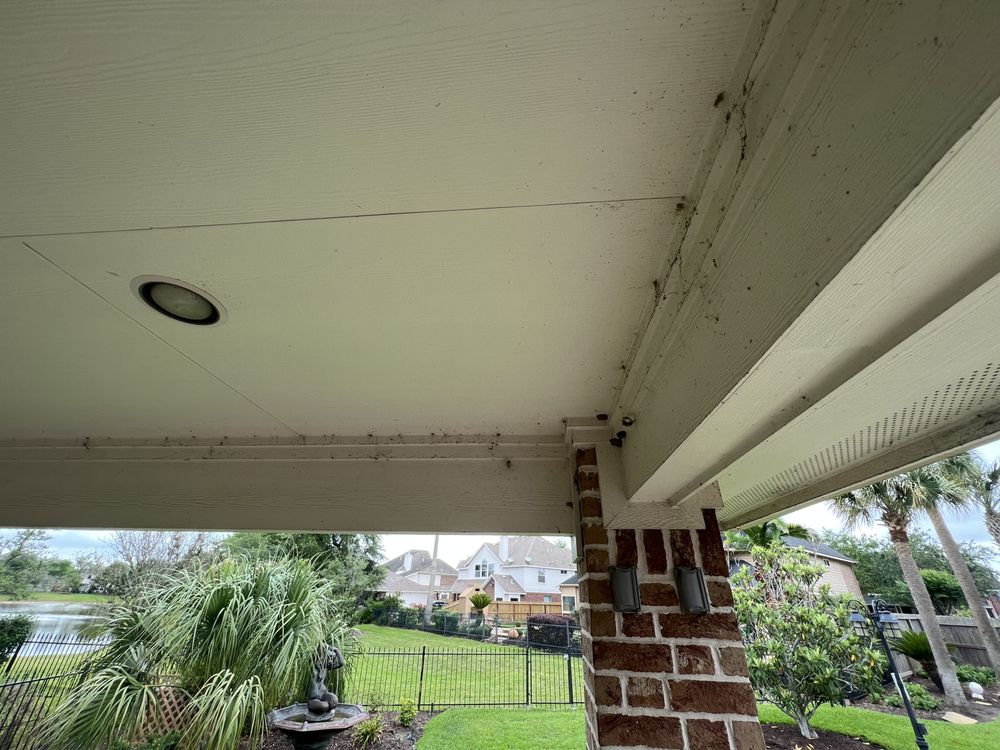 Pro-Team Powerwashing