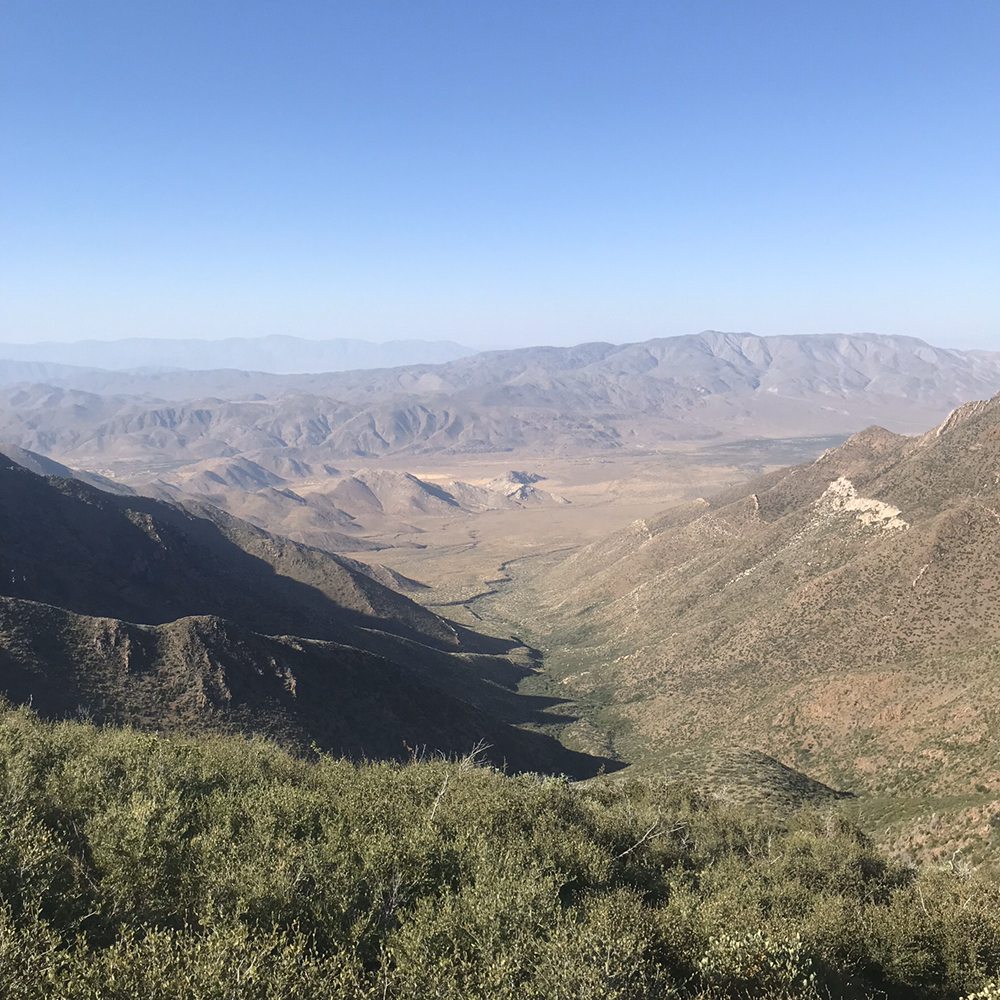 image of business Royal Nest Interior Design