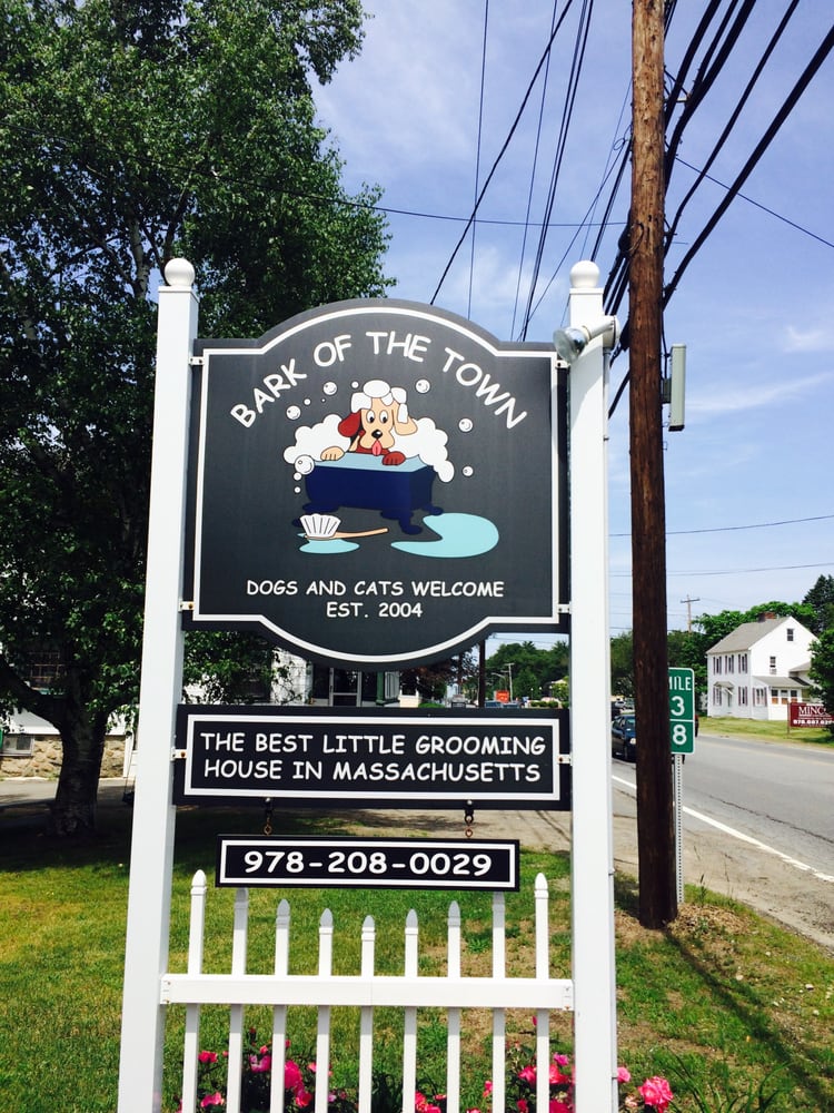 Bark of the Town 16 Photos Pet Groomers 607 Turnpike St, North