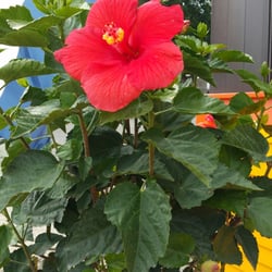 Riverside Nursery Garden Center Florist 13 Reviews Florists Photo Of Riverside Nursery Garden Center Florist Collinsville Ct United States