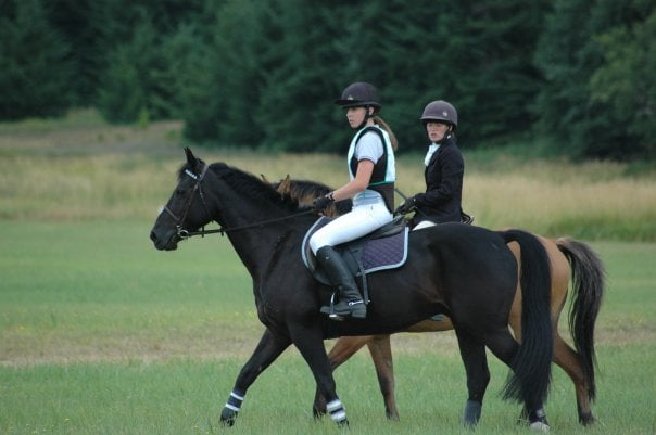 Brackenhollow Stables