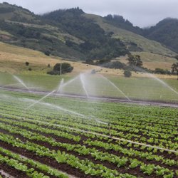 Lakeside Organic Gardens Fruits Veggies 25 Sakata Ln Photo Of Lakeside Organic Gardens Watsonville Ca United States