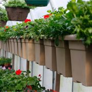 Four Seasons Nursery Nurseries Gardening 3240 Mt Hwy 35 Plant Land