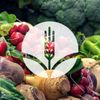 Bloomingfoods