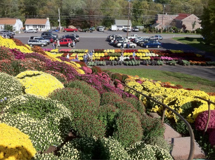 Photos for Ott�s Exotic Plants Yelp