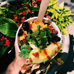 The Best 10 Vegetarian Restaurants In Cincinnati Oh With Prices 2 Whole Bowl