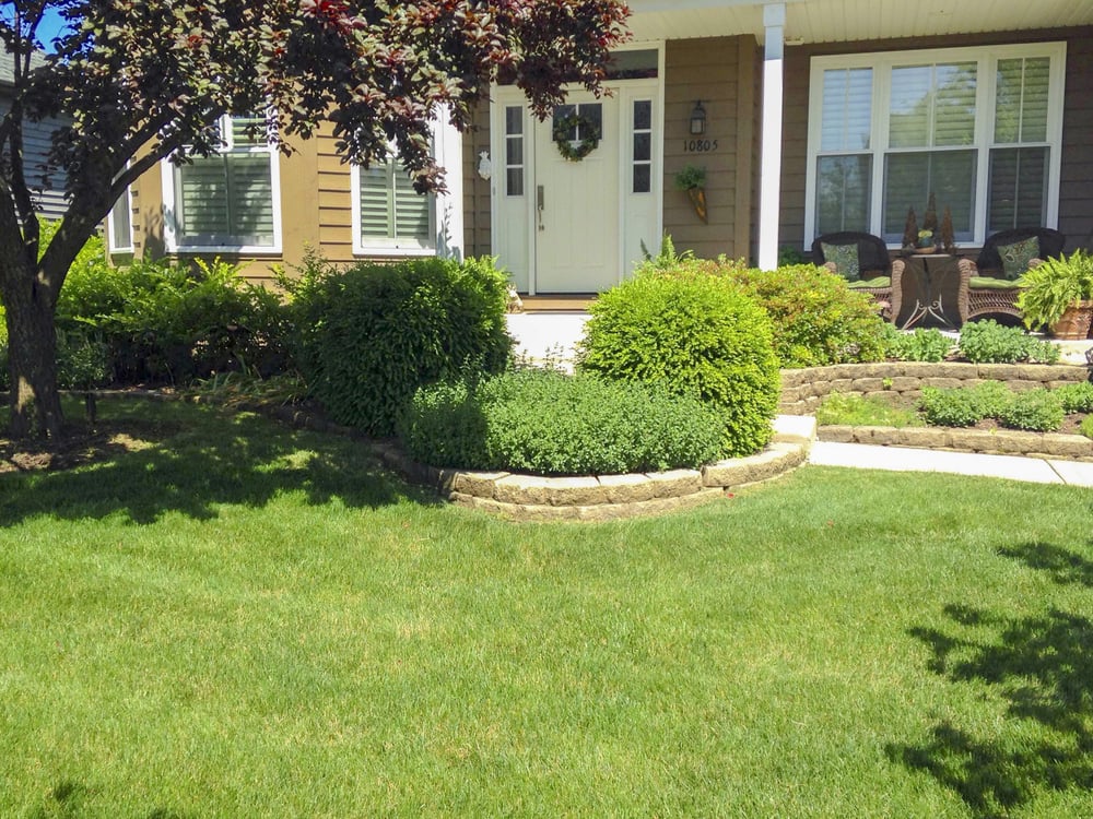 Revive Your Lawn 17 Photos 13 Reviews Landscaping 4828