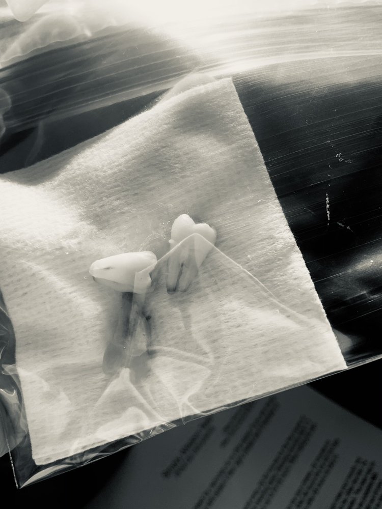 image of business Simply Wisdom Teeth